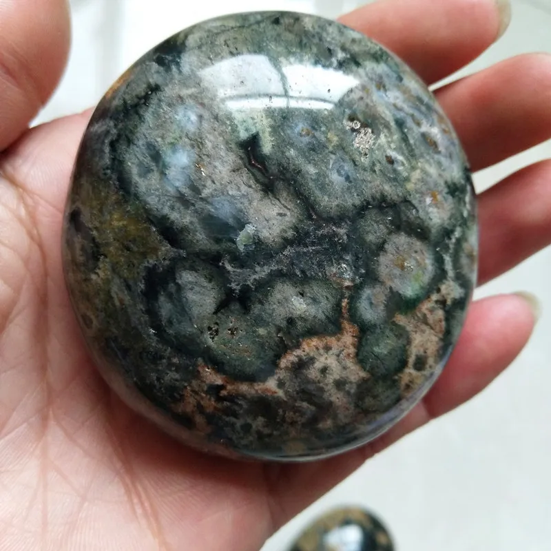 Камни и кристаллы натуральный морской яшма пальмовый камень украшения