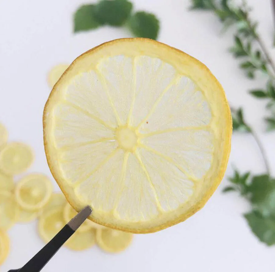 20 шт высушенные прессованные 3 5 см желтые ломтики лимона гербарий из растений для