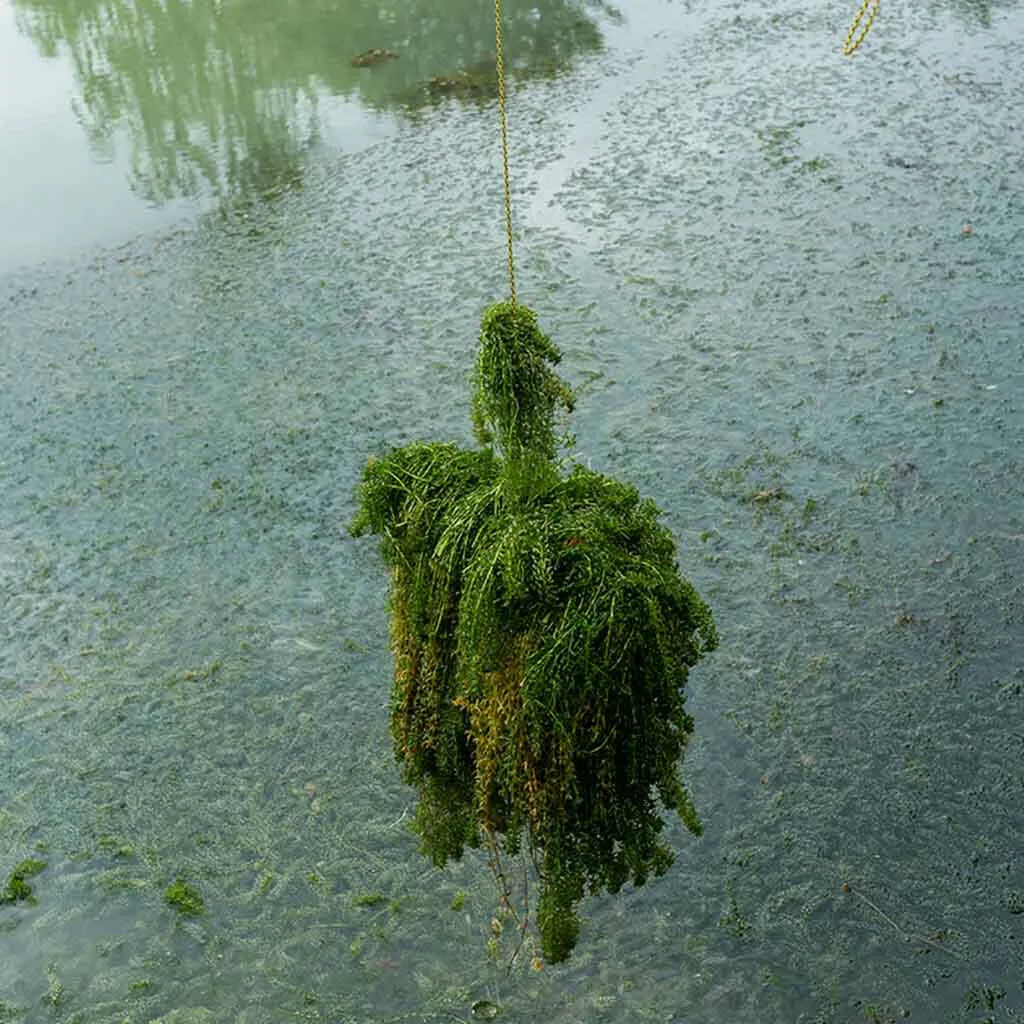 Новинка 2019 лидер продаж рыболовные инструменты инструмент для удаления