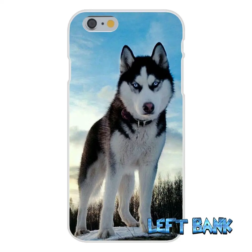 Милая собака хаски Тонкий силиконовый чехол для телефона Motorola Moto G LG Spirit G2 G3 мини G4