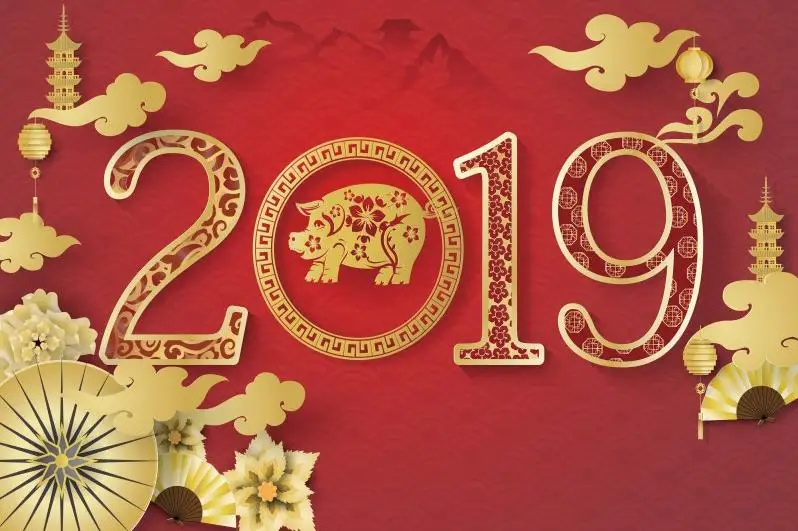 Новый год 2019 китайский Весенний фестиваль свиньи золотой цветочный узор фото фон