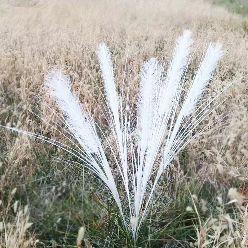 

10 Artificial Peacock Grass Wedding Props Flower Phoenix Feather Flying Grass Leaf Reed Onion Decorative Props