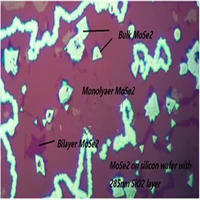 molybdenum diselenide 17 tem copper mesh substrate mose2