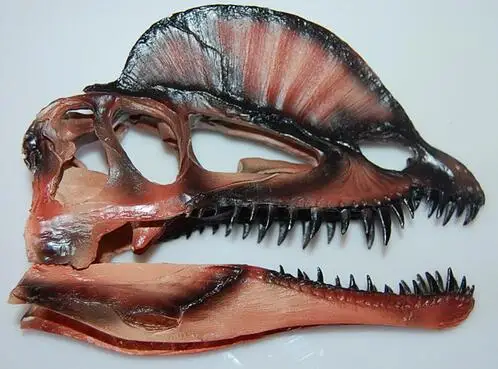 Двойная корона Голова Дракона Смола ручная работа череп голова черепа личное