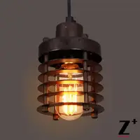 Edison bulbs Vintage wrought iron Pendant light lamp iron cage  Free shipping