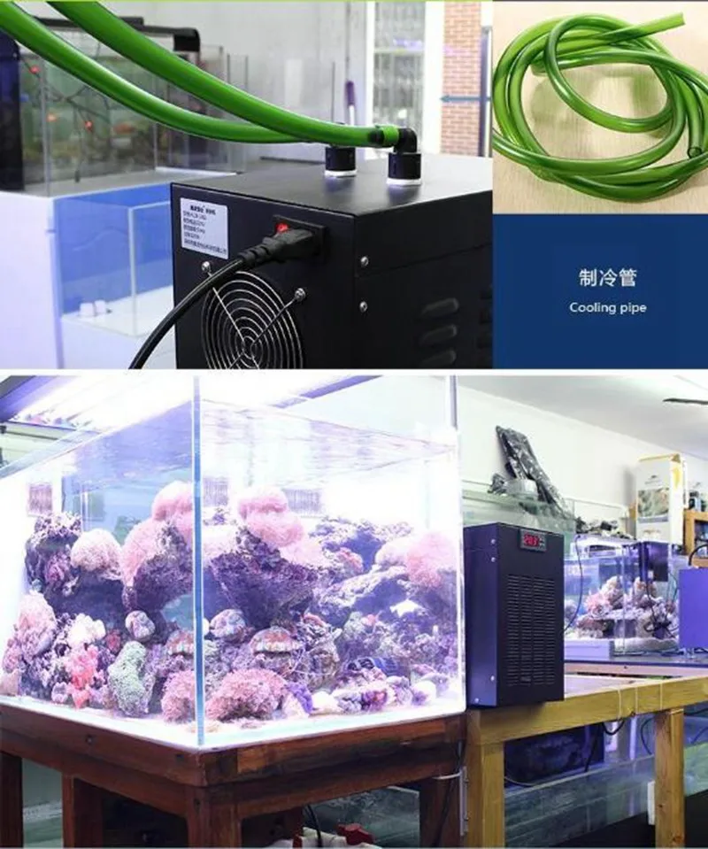 1/10HP охладитель воды охлаждающая машина подходит менее 160L аквариум для коралловых рифов Медузы креветок водные растения