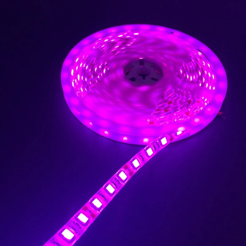 5M 5050 SMD Светодиодные ленты светильник 12V IP65 Водонепроницаемый 300 LED