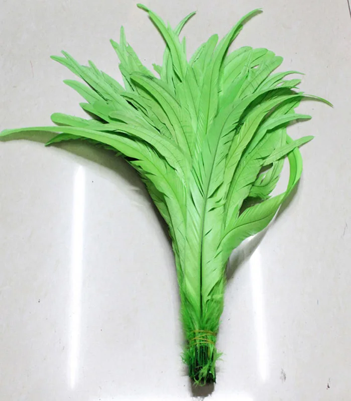 

Manufacturers selling 100 PCS dyed Fruit green rooster tail feathers 12-14 inches /30-35 cm
