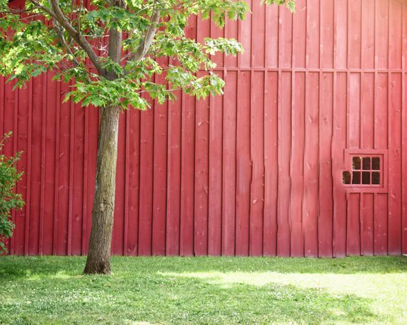 

Фон для детской фотосъемки с изображением дерева природы Красного сарая окна травы
