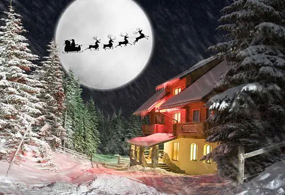 Виниловый фон для фотосъемки на Рождество снежный 5x7ft|photo background|christmas backdropphotography