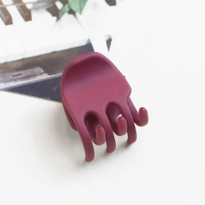 

5PCS New Small Women Scrub Acrylic Crabs Hair Claw Korean Crab Clamp Hair Clips Kids for Women Girls Barrettes Hair Accessories