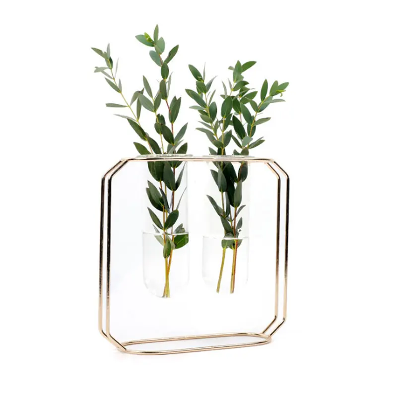 Прозрачная стеклянная трубка ваза с железной подставкой для посадки воды цветок