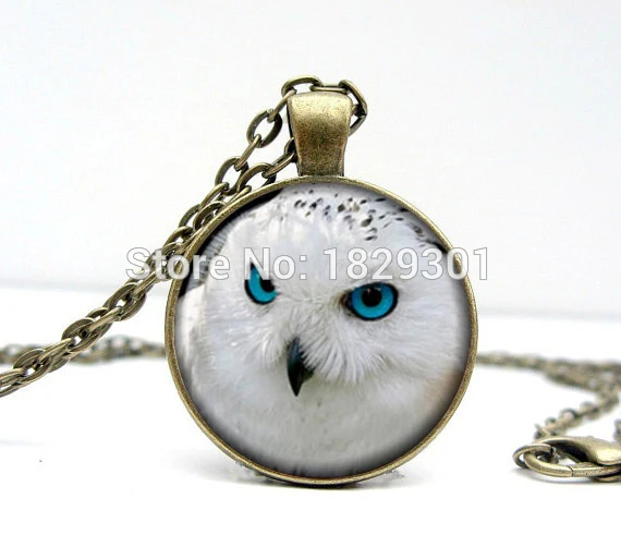 Сова Кулон сова Ожерелье Ювелирные Изделия Стеклянный Купол Ожерелье|necklace