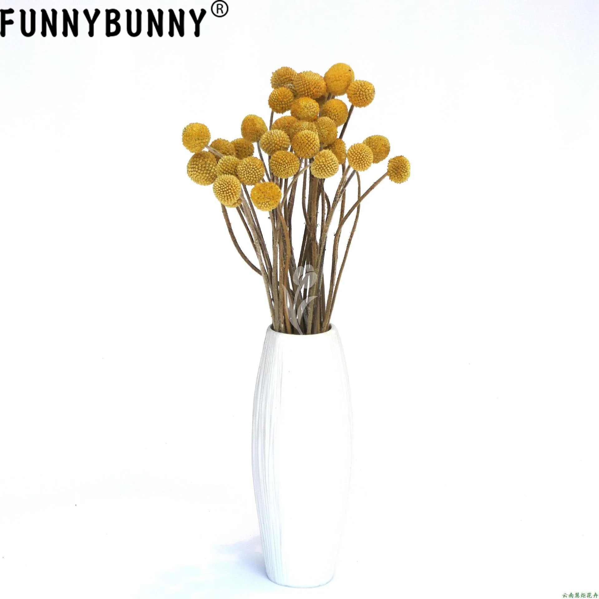 FUNNYBUNNY 5 шт. Сушеные Желтые шарики сушеные цветы для Свадебный букет Декоративный