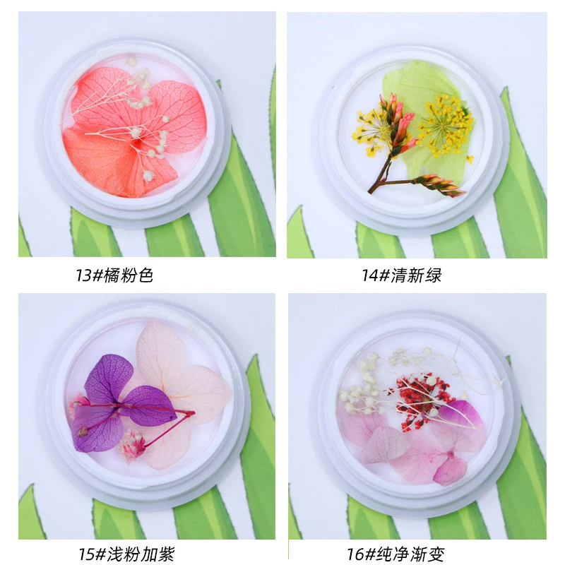 Natural Nail Dried Flowers Decoration Mix Dry Flower And Leaf Decor 3D Nail Art Designs Gypsophila Manicure Accessories