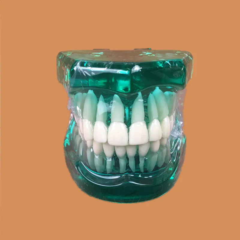 1 шт. синий цвет 1 шт. синий цвет Ортодонтические зубы модели Стоматологическое образование зубы челюсть модель стоматологический подарок для стоматолога