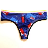 Мужские прозрачные стринги и g из сетчатого спандекса с низкой посадкой|underwear