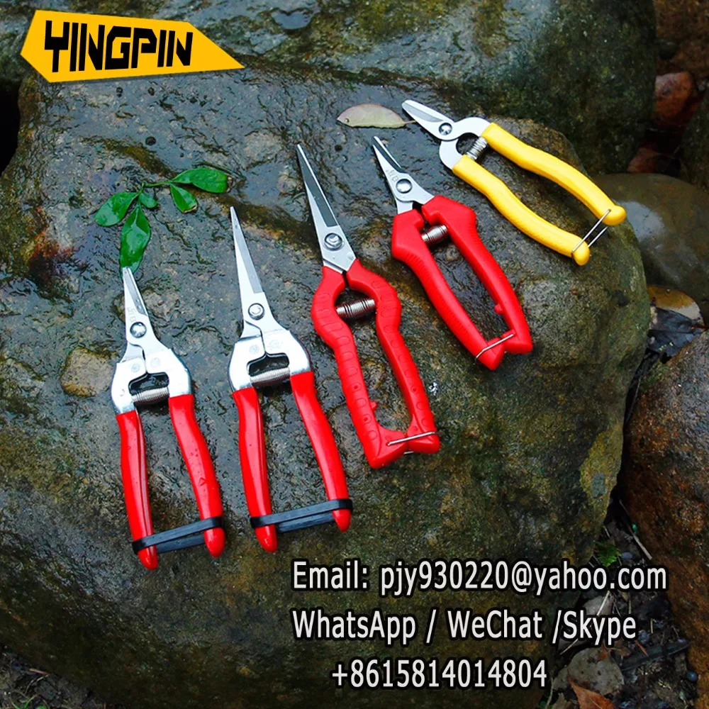 

Horticultural scissors flower scissors, pruning/fruit picking/fruit tree scissors,household scissors.