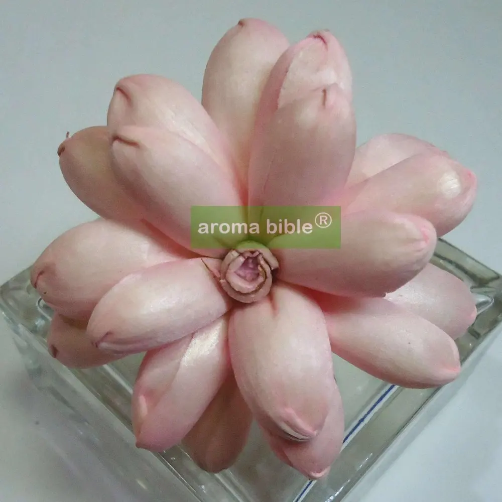 

1000 pcs /lot Sola Flowers With Rope For Frangrance Diffuser Wholesale Price