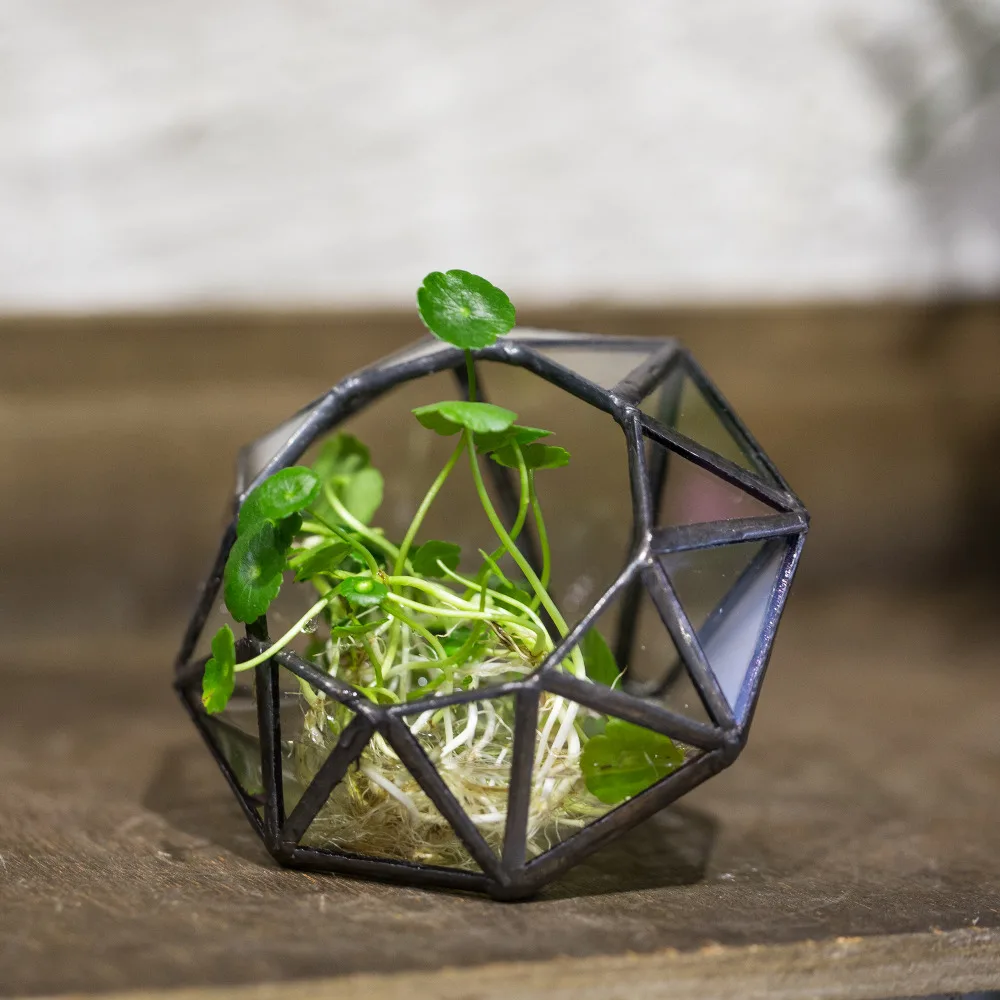 

Mini Handmade Creative Diamond Shape Flower Pot Succulent Plant Home Office Tabletop Decoration Bonsai Flowerpot Garden Planter