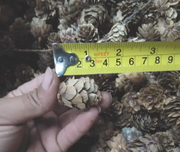 Натуральное мини украшение Pinecone из СОСНОВЫХ ШИШЕК на рождественскую елку Декор