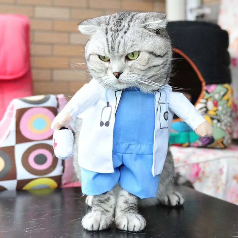 Забавный ролевый Костюм Кошки Одежда для собак весна осень Хэллоуин вечерние костюмы для маленьких щенков кошек 10A