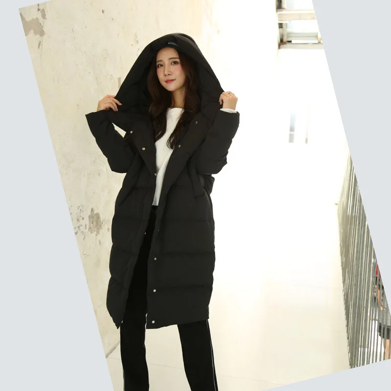 2018 осенняя и зимняя женская одежда новый стиль пуховик Длинная Корейская версия