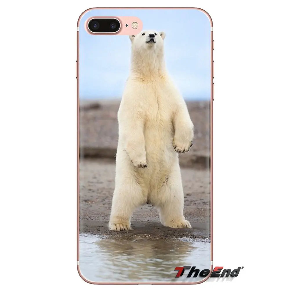 Polar bear in the shore of Alaska Silicone Phone Cases For Samsung Galaxy J1 J2 J3 J4 J5 J6 J7 J8 Plus 2018 Prime 2015 2016 2017 |