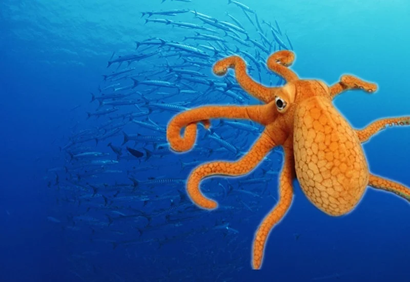 Моделирование осьминога Calamary Mollusca плюшевые куклы игрушки подушка 80 см | Игрушки и