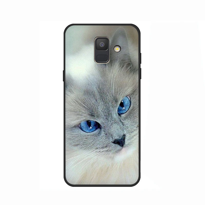 B11 Черная кошка, глаз мягкий силиконовый чехол для телефона для samsung A3 A5 A6 плюс A7 A8 A9 A10s 20С 30С 40С с 50s 60 70 J6 - Цвет: B11