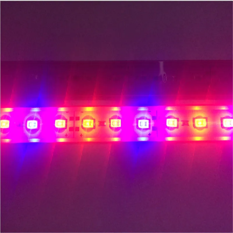 CLAITE 1 шт 5 шт 10 шт DC12V 6 W 0,5 m 5730 SMD красные, синие светать жесткой полосы IP65 Водонепроницаемый растительная теплица бар свет