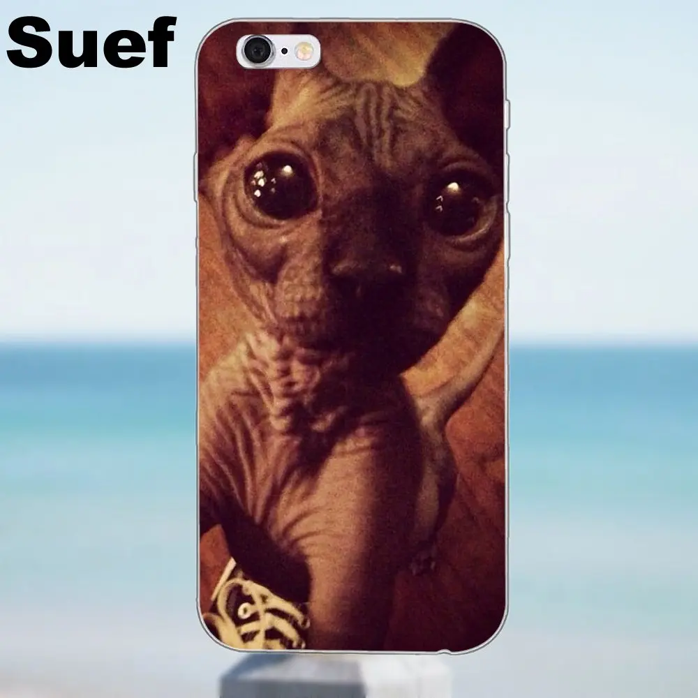 Suef Kat Von D Cat для iPhone X 4 4S 5 5S 5C SE 6 6S 7 8 Plus Samsung Galaxy J1 J3 J5 J7 A3 A5 2016 2017 мягкий модный чехол|for