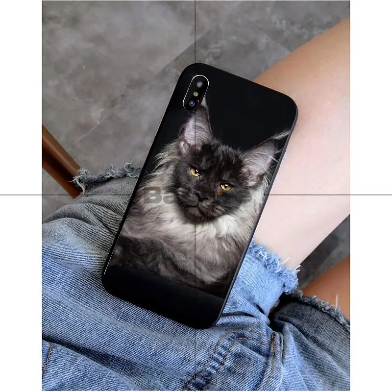 Babaite pet мейн-кун кошка черный мягкий силиконовый чехол для телефона чехол для Apple iPhone 8 7 6 6S Plus X XS MAX 5 5S SE XR Чехол для мобильного телефона s