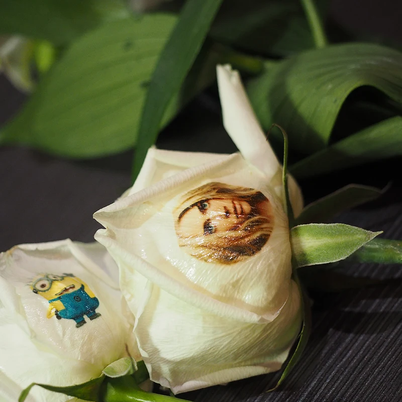 Лидер продаж 2018 принтер для селфи и кофе | Принтеры