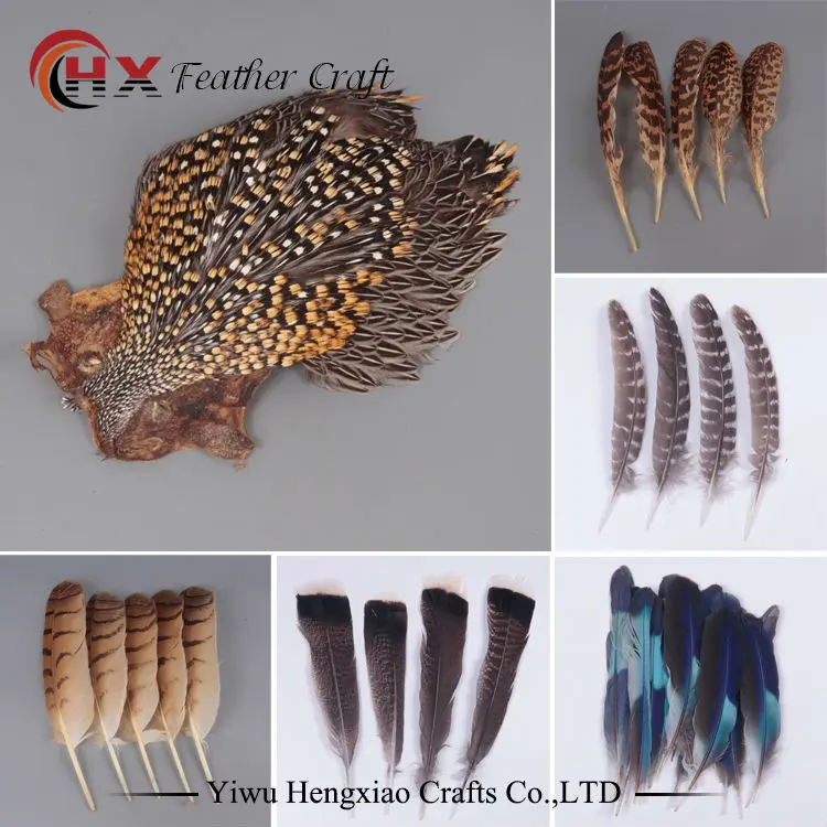 Оптовая продажа Высококачественная Сова орел перо различных декоративных diy
