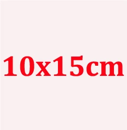 100 шт., 24x35 см, матовые полиэтиленовые пакеты на молнии для одежды, футболки, юбки, розничная упаковка, печать логотипа на заказ - Цвет: 10x15cm