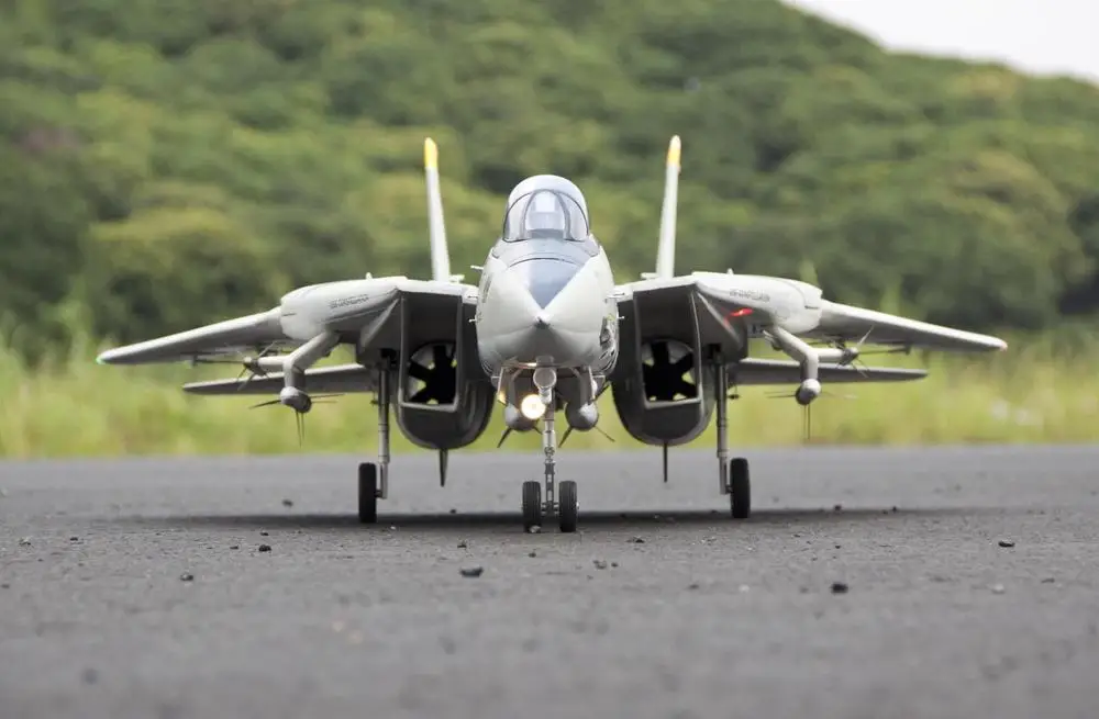 Freewing F14 Tomcat Твин 80 мм EDF струи с переменной развертки крыла класса люкс PNP