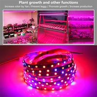 5M 60LEDS/M 12V Plant Grow LED Strip light 5050 SMD 3:1 4:1 5:1 Red:Blue Growth Fita Doide Tape Lamp for Greenhouse Hydroponic
