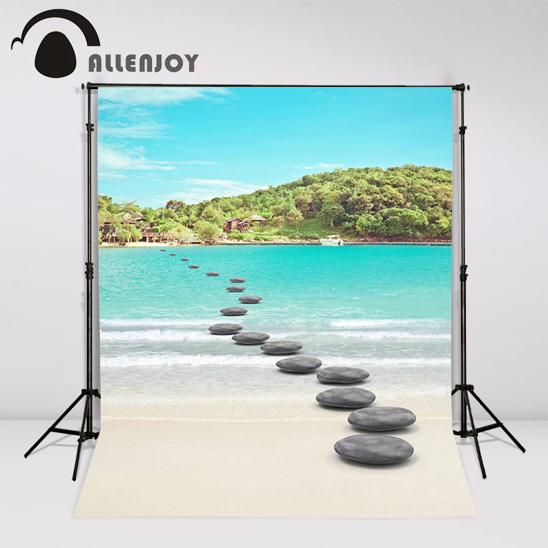 Allenjoy Фотостудия фоны летний камень пейзаж пляж Туризм профессиональная камера