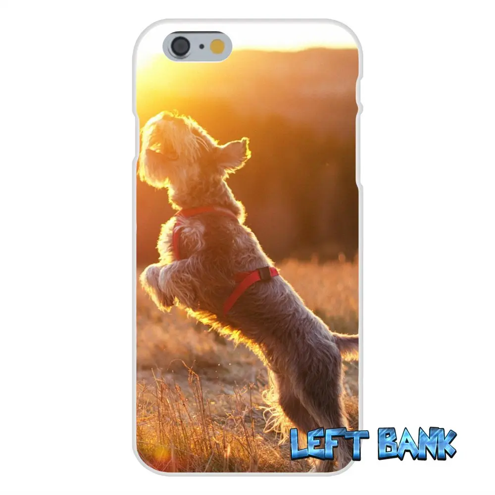 Schnauzer Puppy Dog Мягкий Силиконовый ТПУ Прозрачный чехол для iPhone 4 4S 5 5S 5C SE 6 6S 7 Plus|case for