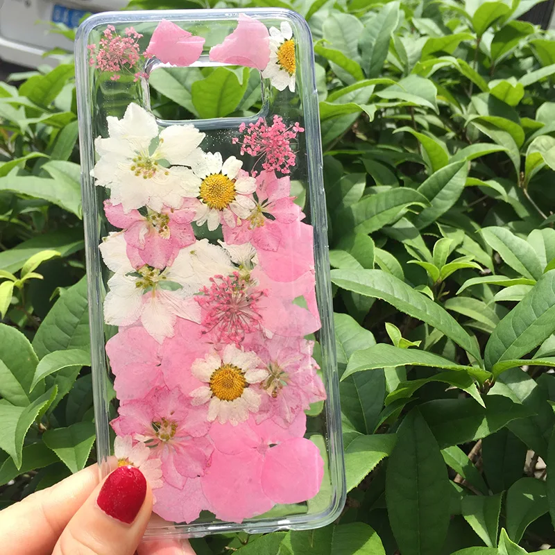 Tfshining Dried Real Flower Handmade Clear Pressed Phone Case For Samsung Galaxy S9 S10 Plus S8 Note 8 9 Soft TPU Back |