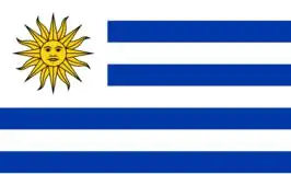 

Uruguay Flags Wholesale Lot of 10 PCS National Polyester Banner150* 90cm 3ft x 5ft All over the world outdoor