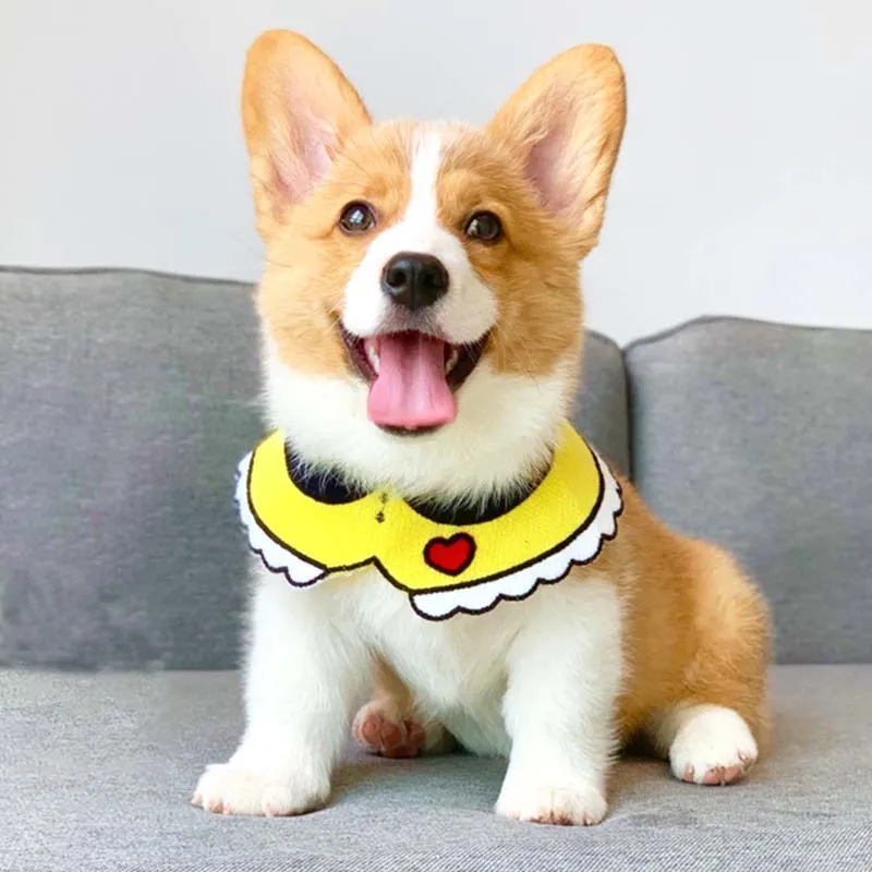 Аксессуары для домашних животных забавные собачки кошечки бандана собак