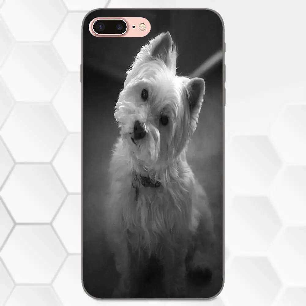 West Highland Terrier Westie щенок для Galaxy C5 C7 J1 J2 J3 J330 J5 J6 J7 J730 2017 Ace Core Duo Max Mini Plus Prime Pro |