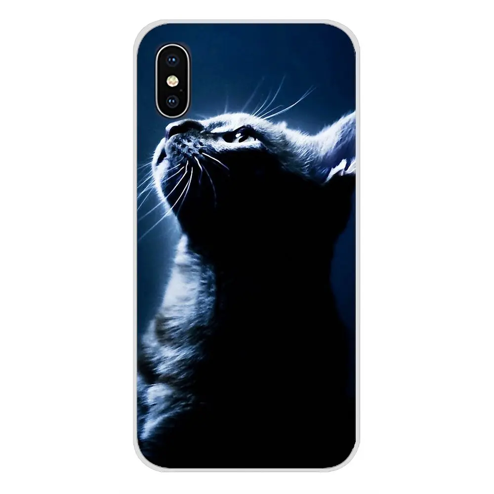 Transparent TPU Shell Case For Samsung A10 A30 A40 A50 A60 A70 Galaxy S2 Note 2 3 Grand Core Prime Animals Cats Cat with glasses | Мобильные