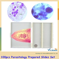 100pcs parasitology prepared slides