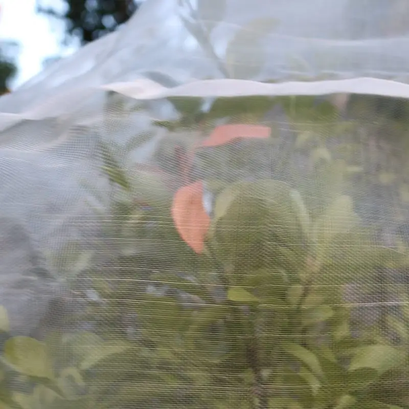 Нейлоновая сетка против птиц предотвращает появление насекомых для фруктовых