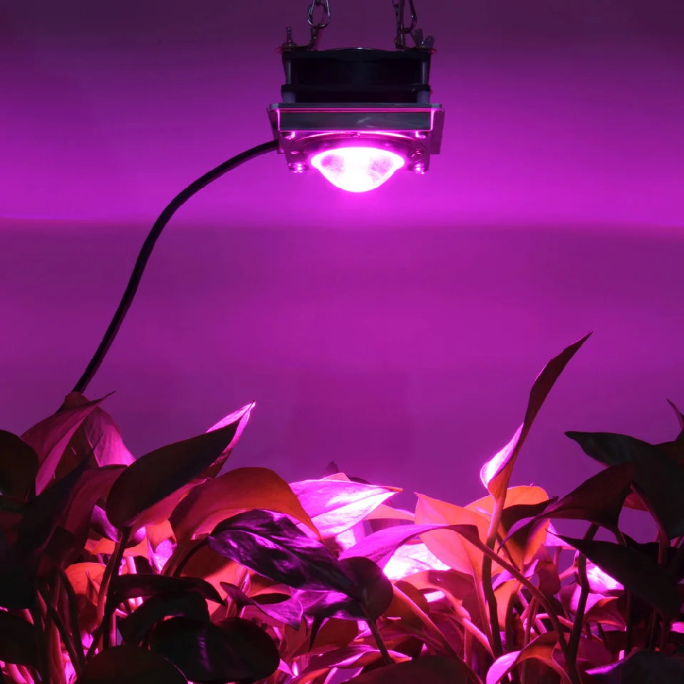 

COB светодиодный Grow светильник полный спектр 100W высокой номинальной светодиодный для сельскохозяйствнных ламп с Стекло объектив и нескольк...