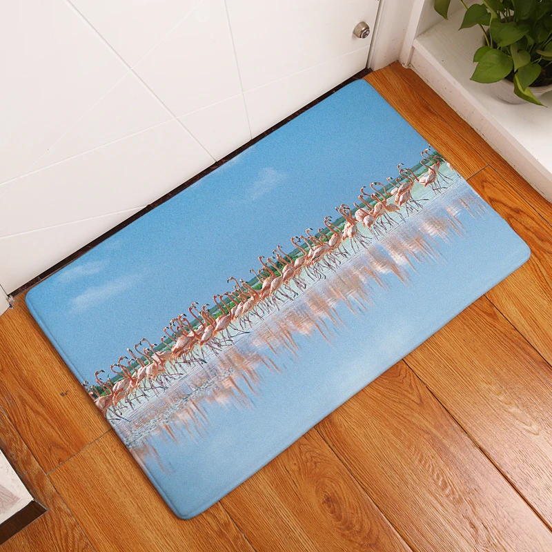 2017 новые ковры с принтом орла Нескользящие кухонные коврики для дома гостиной 40x60