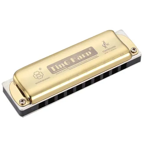 Golden Key A Kongsheng Diatonic 10 отверстий губная гармоника блюз Арфа рот орган Ключ C ABS гребень профессиональные музыкальные инструменты KongSheng KS10BH - Цвет: Golden Key A
